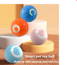 Pet Supplies