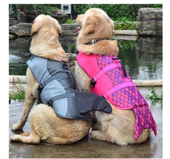 Dog Swimwear and Life Jacket Rescue Kits